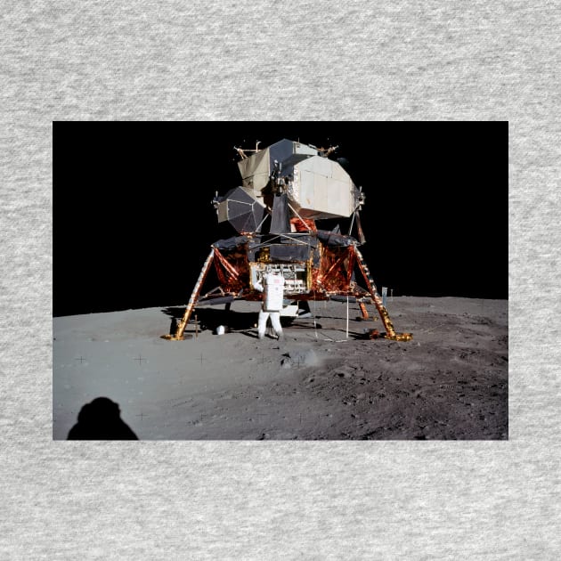 Apollo 11 lunar module (C021/0588) by SciencePhoto